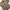 Vintage Casual Formal shirt Pria tan photo 2