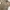 Vintage Casual Formal shirt Pria tan photo 6