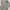 Quiksilver Y2K Skater Casual shirt Pria tan photo 4