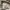 Quiksilver Y2K Skater Casual shirt Pria tan photo 8