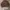 Vintage Streetwear Jumper Pria brown photo 1