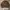 Vintage Streetwear Jumper Pria Brown