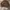 Vintage Streetwear Jumper Pria brown photo 2