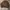 Vintage Streetwear Jumper Pria Brown