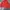 Y2K Gorpcore Track jacket Pria red photo 2