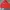 Y2K Gorpcore Track Jacket Pria Red