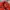Y2K Gorpcore Track jacket Pria red photo 3