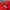 Y2K Gorpcore Track jacket Pria red photo 4