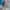 Adidas Skater Casual Casual shoe Pria brown blue photo 1