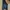 Levi's Vintage Casual Jeans Pria blue photo 2