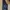 Levi's Vintage Casual Jeans Pria Blue