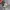 Nike Vintage Y2K Sneakers Pria white photo 1