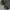 Jiniso Streetwear Casual Casual pants Pria multicolor photo 3