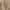 Luxury Wanita tan cream photo 5
