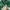 Nike Casual Sweatshirt Pria green photo 2