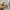 The North Face Casual Sweatshirt Pria gray photo 3
