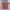 VANS Skater Casual T-shirt Pria multicolor photo 1