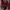 Streetwear Casual Fleece Wanita burgundy black photo 3