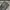 Vintage Y2K Jeans Pria green gray photo 8