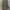 GAP Vintage Y2K Pria gray photo 1