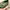 Cath Kidston Luxury Bags & purse Wanita pink photo 4