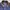 Crocodile Grunge Indie Bomber jacket Pria navy black photo 5