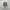 Salomon Casual Sneakers Pria cream photo 3