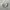 Salomon Casual Sneakers Pria cream photo 1