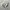 Salomon Casual Sneakers Pria Cream