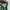 Nike Casual Sneakers Pria green tan photo 6