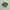 Nike Casual Sneakers Pria green tan photo 1