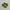 Nike Casual Sneakers Pria Green Tan