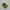 Nike Casual Sneakers Pria green tan photo 3