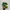 Nike Casual Sneakers Pria green tan photo 2