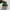 Nike Casual Sneakers Pria green tan photo 4