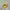 Onitsuka Tiger Casual Sneakers Pria Yellow