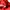 Luxury Bags & purse Wanita red photo 3