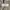 Hotel Official Vintage Y2K Pria tan cream photo 5