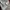 Nike Vintage Gorpcore Track jacket Pria burgundy black photo 7