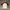 Adidas Streetwear Y2K Jersey Pria Burgundy White