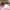 Luxury Futurist Wanita pink photo 2