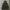 Uniqlo Streetwear Casual Parka Pria black photo 1