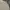 Y2K Minimalist T-shirt Pria tan cream photo 2
