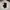 Dickies Vintage Y2K Casual pants Pria black photo 4