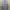 Hanes Casual Sweater Pria gray photo 3