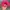 Vintage Streetwear Hat Pria pink photo 3