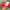 Vintage Streetwear Hat Pria pink photo 2