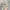 Vintage Streetwear Hat Pria tan photo 1