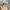 Vintage Streetwear Hat Pria tan photo 2