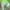Vintage Streetwear Hat Pria green photo 4